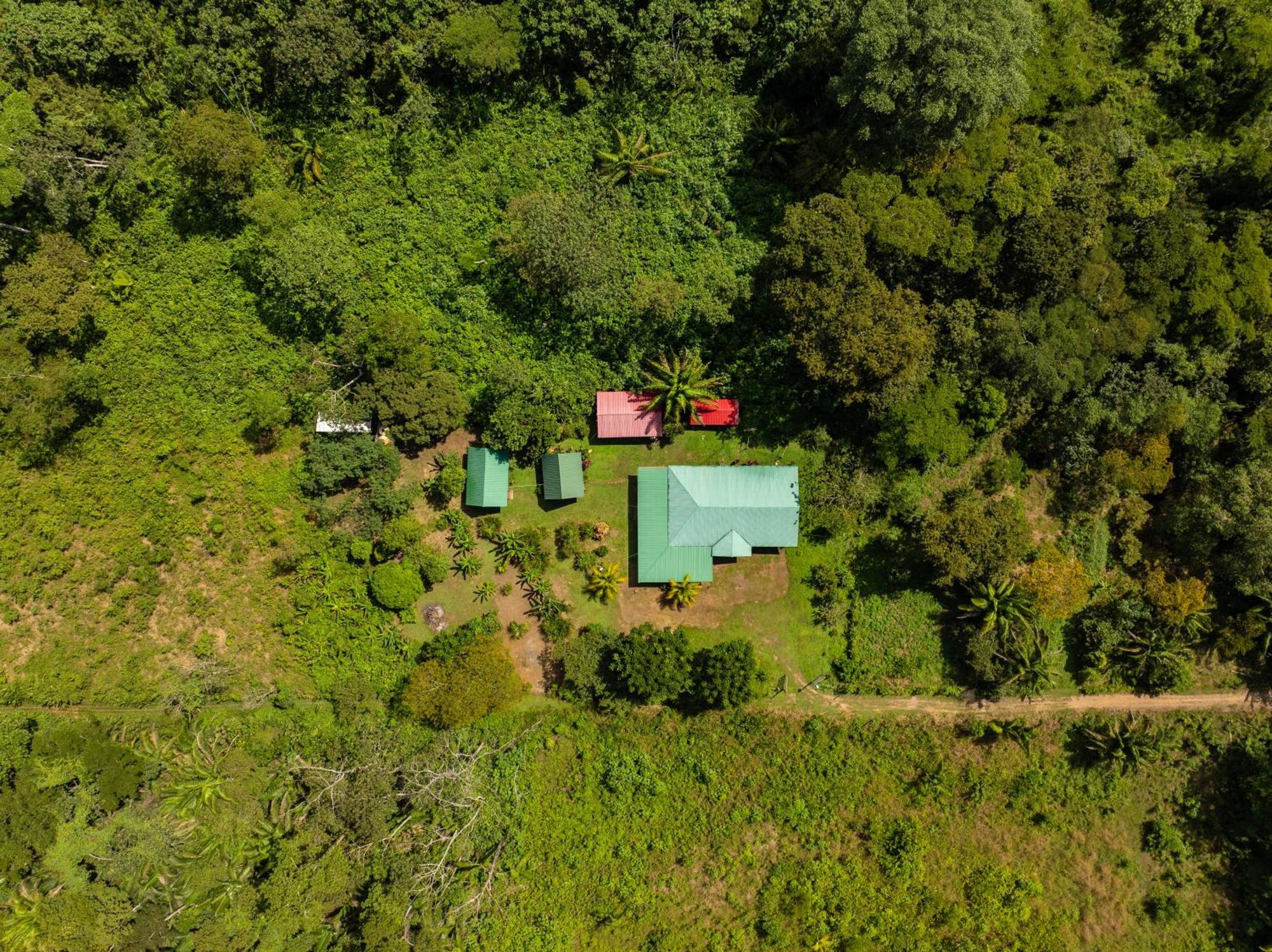 Quirquincho House Lodge Puerto Maldonado Exteriér fotografie