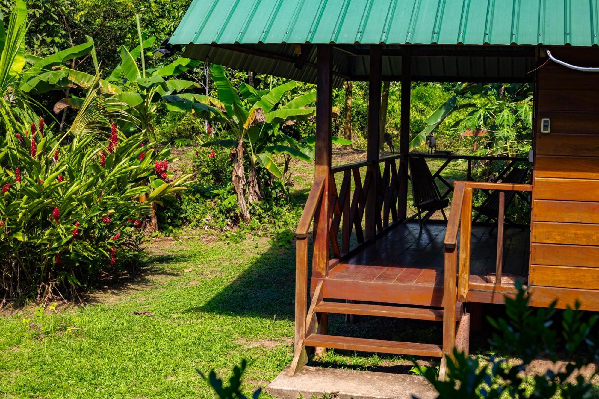 Quirquincho House Lodge Puerto Maldonado Exteriér fotografie